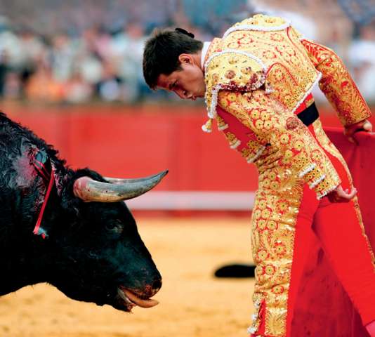  Đấu bò tót - trò man rợ nhưng vinh quang ở Tây Ban Nha 