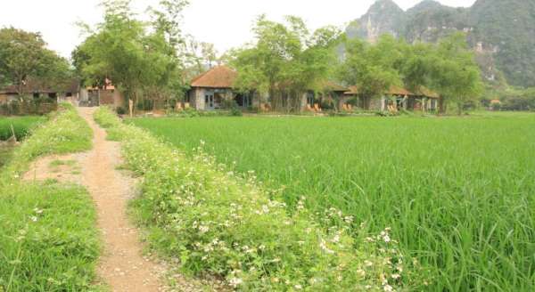 Tam Cốc Garden Resort