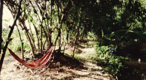 Nhà trọ Green Village