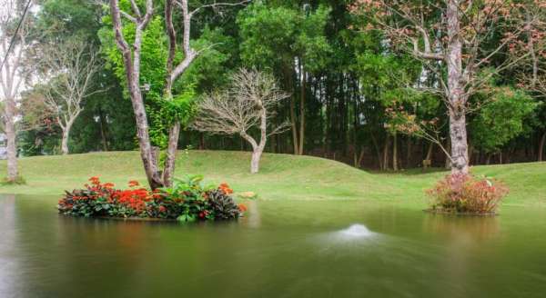 Flamingo Đại Lải Resort